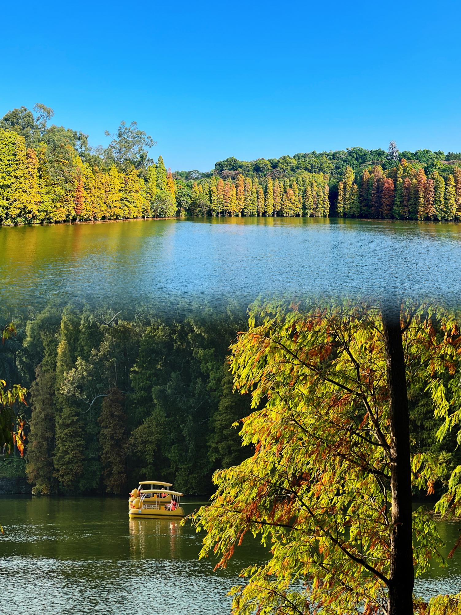 圖片7.png 圖片7.png